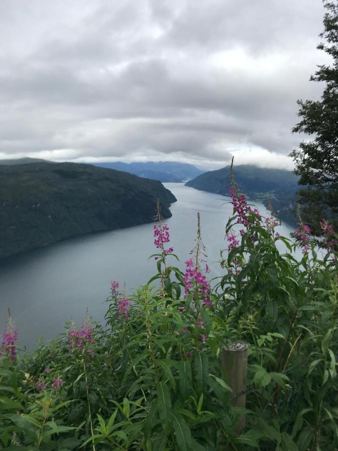 Panorama Fjord Olden Lägenhet Exteriör bild